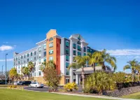 Holiday Inn Express & Suites ORLANDO - INTERNATIONAL DRIVE by IHG - Quầy Bar