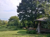 Boseong Saengtae Masil Pension