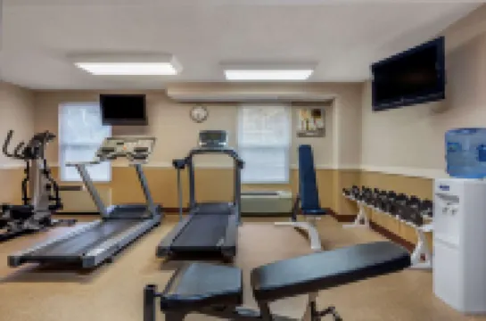 คอมฟอร์ตอินน์ ฟอกซ์โบโร – แมนส์ฟิลด์