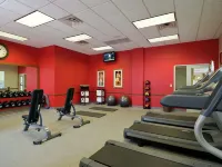 Hilton Garden Inn Lake Forest Mettawa Hotels in Mettawa