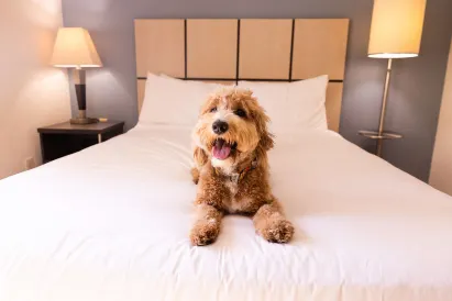 Sonesta Simply Suites Las Vegas Convention Center