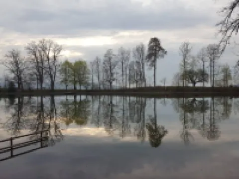 Nice Apartment with Sun Terrace