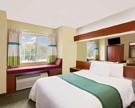 Microtel Inn & Suites by Wyndham Thomasville/High Point/Lexi Hotels in Davidson County