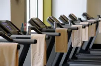 Johari Rotana - Gym