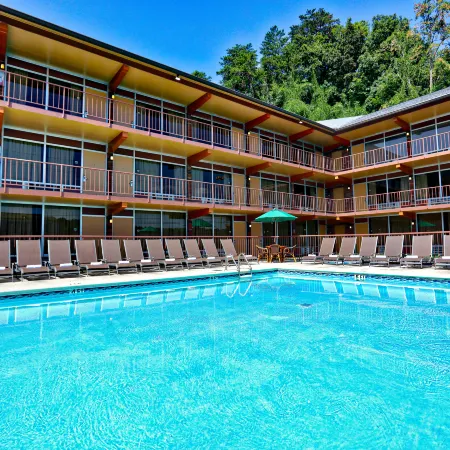 Wild Bear Inn