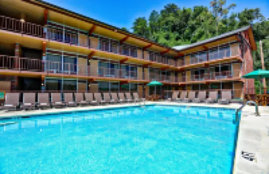 Wild Bear Inn