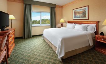 Embassy Suites by Hilton Charleston Airport Hotel & Convention Center