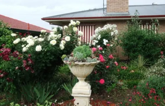 阿德姆拉亞住宿加早餐旅館