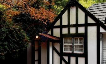 Tudor Cottages