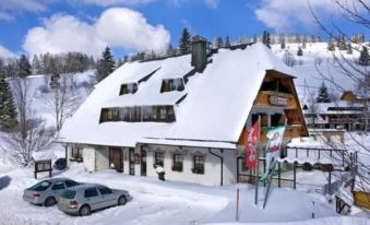 Hotel & Restaurant Gruner Baum - Die Grune Oase am Feldberg - Housity