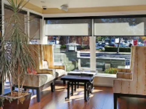 The Zen Hotel Palo Alto Hotels in Palo Alto