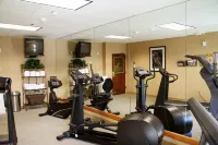 Hampton Inn Houston-Near the Galleria - palestra