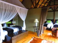 Bush Lodge (Amakhala GR) Hotels near Shamwari Private Game Reserve in the Eastern Cape