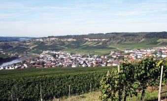 Gastehaus Und Weingut Bernd Frieden