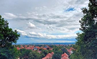 Bergwirtschaft Wilder Mann Hotel Und Restaurant