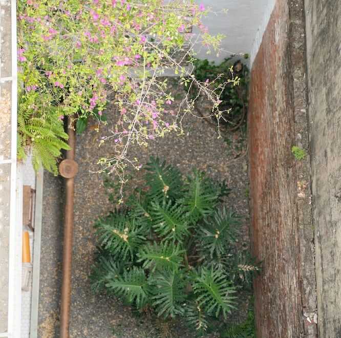 365 호스텔의 세련된 인테리어