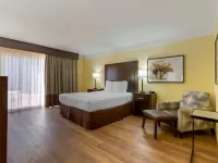 Best Western Phoenix Goodyear Inn Hotels in Goodyear