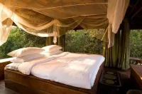 Baghvan Pench National Park - A Taj Safari Lodge