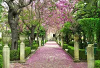Only for Two Giumbabulla Home and Spa