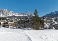 Villa Casanova - Stayincortina Hotels in Borca di Cadore