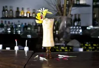 Ravintsara Wellness Hotel - bar