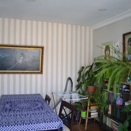 Your House in Tbilisi