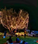 Campistaan Hotels in Bhilvale