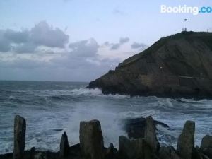 Hollies and Ilfracombe Harbour View