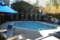 Hampton Inn & Suites Alpharetta - Swimmingpools