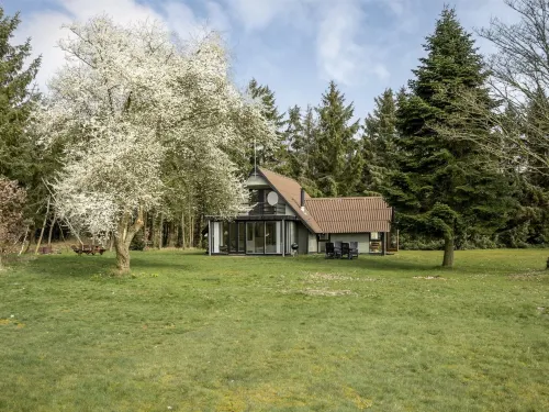 "Alard" - 300m to the Fjord