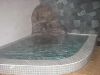 Canadian Log Cottage Takitaro - Hot Springs