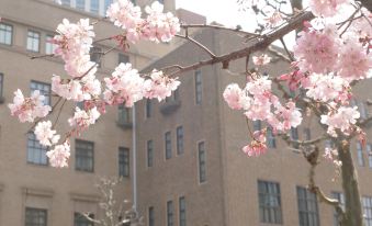 Gakushi Kaikan Hotel