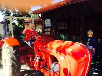 "Der Obere Wirt" zum Queri Hotels in Herrsching am Ammersee