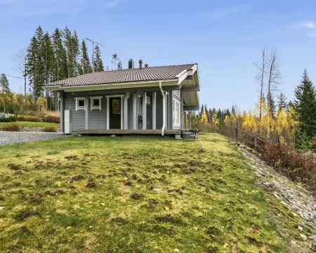 Kielonkallio 黑奈韋西酒店