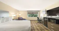 Best Western Amador Inn Hotels in Jackson