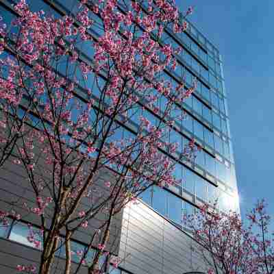 Daiwa Roynet Hotel Hiroshima-Ekimae Hotel Exterior