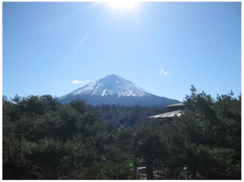 富士綠之休閒村