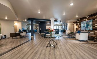 Soka Suites Dallas - Las Colinas