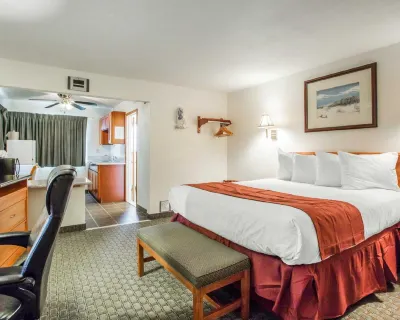 Rodeway Inn Các khách sạn ở Newport