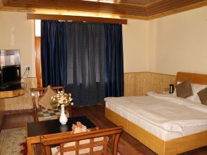 Hotel Mountain Trail Manali