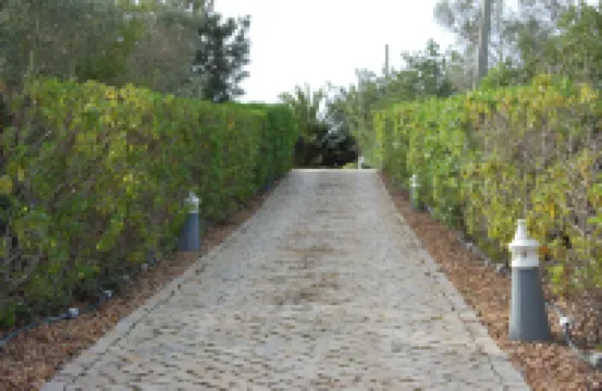 Villa Monte Alegrete with sea view