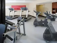 Fiesta Inn Xalapa - Kuntosalit