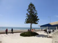 1 Bedroom Penthouse on Front Line of the Beach.