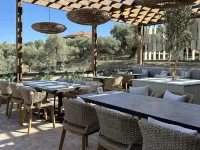 King Jason Zante – Designed for Adults - breakfast