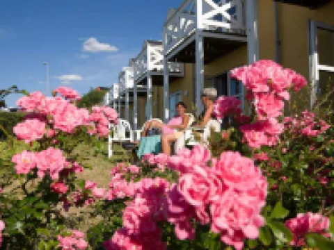 Hvalpsund Færgekro Hoteles en Farsø