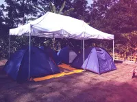 Coorg Coffee Flower Resort Coorg - Pet friendly