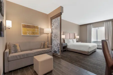 Pestana Orlando Suites - Lake Buena Vista