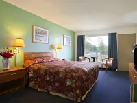 레이크뷰 인 치헤일리스 호텔