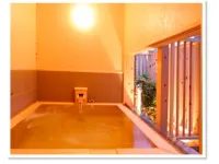 Ryokan New Ougiya - Kuumat lähteet