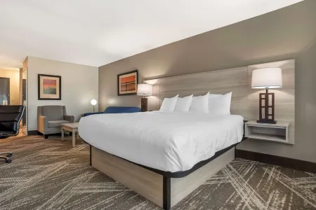 Best Western Plus Jackson Downtown-Coliseum Отели рядом с достопримечательностью «Государственный университет Джексон»